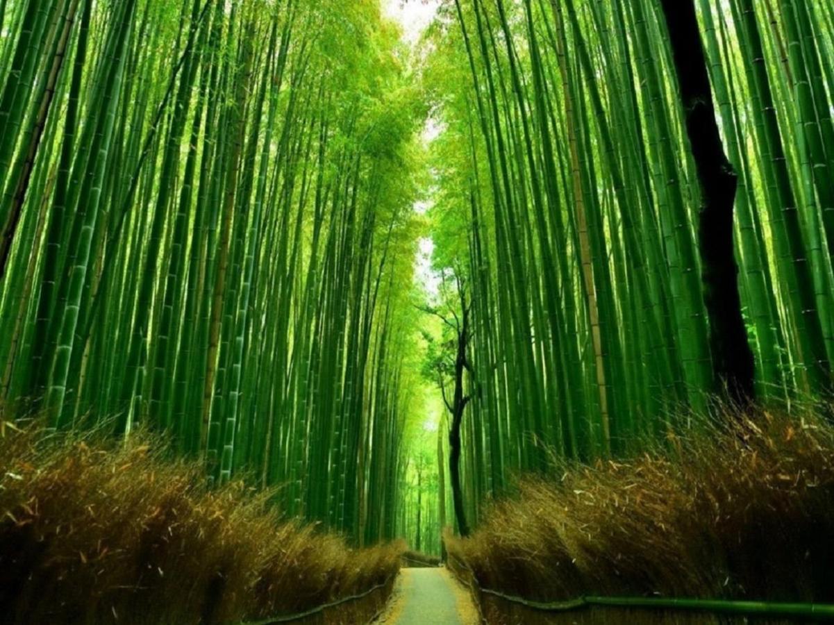 行灯離れ京都五条 Andon Hanare Kyoto Gojo Eksteriør billede